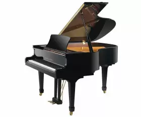 GP160 PEARL RIVER Ebony Polish Piano Bench Assembled