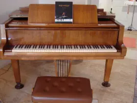 419339 PETROF Piano Iv Finish