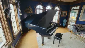 Petrof 469009 Model Ii 7 9 Inch Heirloom Semi-concert Grand Piano Impeccable Condition