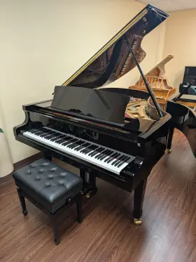 628716 PETROF Storm Piano