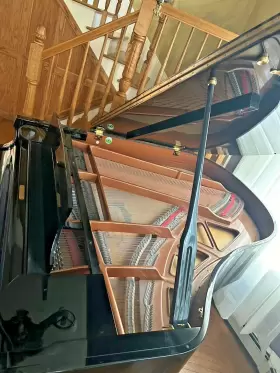 PS175 PRAMBERGER Piano Ebony Polish #3