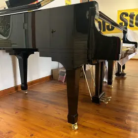 2584871 RITMULLER Ebony Piano #2