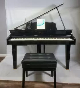 CG-1 ROLAND Digital Mini Piano Ebony