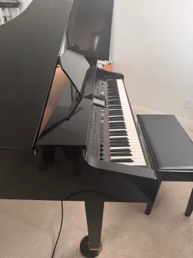 KR-977 ROLAND Baby Piano Ebony