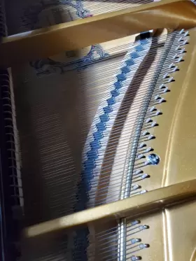 IJQAG0143 SAMICK Baby Piano Ebony #2