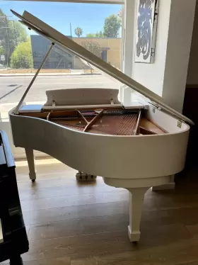 IKLG0227 SAMICK Baby Piano #3