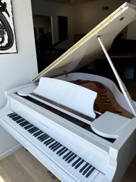 IKLG0227 SAMICK Baby Piano