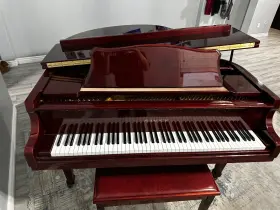 IOBG0248 SAMICK Baby Piano Gorgeous