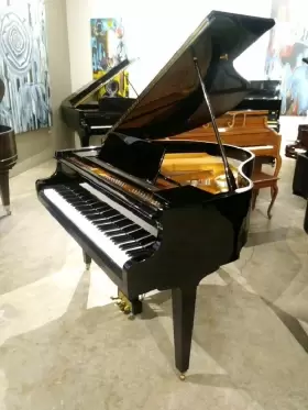 IOEG0138 SAMICK Petit Piano Ebony #2