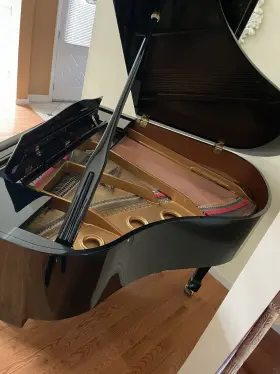 IPAG0097 SAMICK Baby Piano Ebony #3