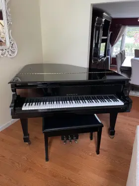IPAG0097 SAMICK Baby Piano Ebony
