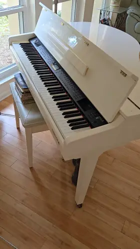 Samick S-150 The Grand Piano Weighs Approximately 655 Lbs 297 Kg Making It A