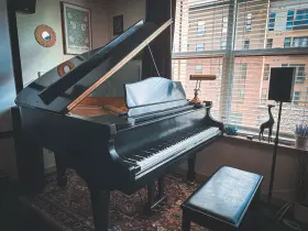 SG-150 SAMICK Baby Piano