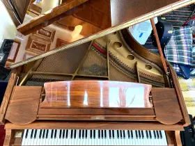SG-172 SAMICK Piano Imperial Scale #3