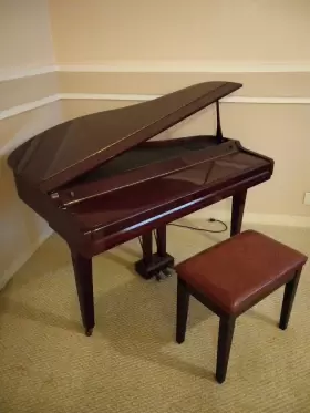 SGP-151G SAMICK Digital Baby Piano Great #2