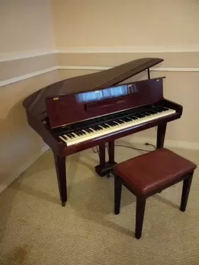 SGP-151G SAMICK Digital Baby Piano Great #3