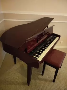SGP-151G SAMICK Digital Baby Piano Great