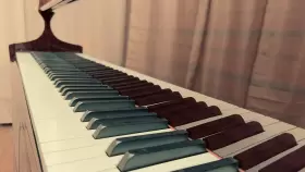 SIG-50PD SAMICK Baby Player Piano #2
