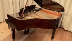 SIG-50PD SAMICK Baby Player Piano #3
