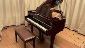 SIG-50PD SAMICK Baby Player Piano