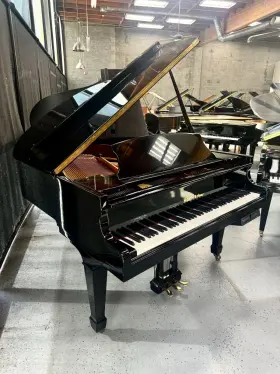 G027886 SCHAFER SONS Baby Piano Player Ebony