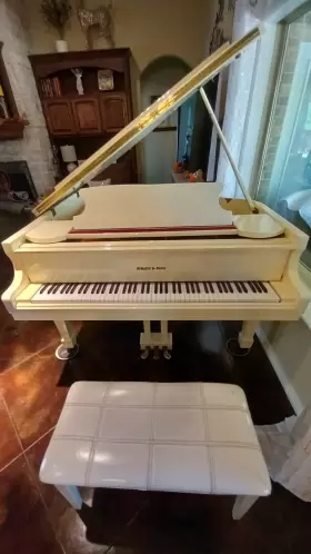 SS-51 SCHAFER SONS Samick Baby Piano Finish Storage Bench