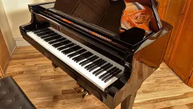 018.318 SCHIMMEL Wilhelm Piano
