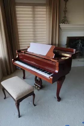 174C SCHIMMEL Mahogany Piano #3