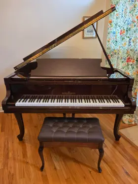 254.605 SCHIMMEL Baby Piano Mahogany