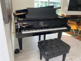 292196 SCHIMMEL Piano Outstanding #2