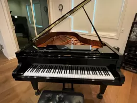 Schimmel 339712 7ft Grand Piano C213t Black Ebony Polished Mint Condition One Owner