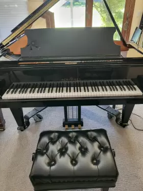 CC208T SCHIMMEL Pianodisc Player