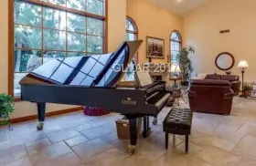 SE278 SEILER Concert Piano Donftt Blink Opportunity #3
