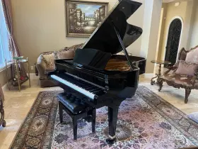 SE-186 SEILER Piano