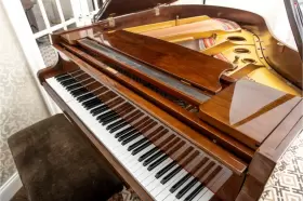 DG-1 SOJIN Baby Piano #2