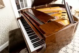 DG-1 SOJIN Baby Piano #3