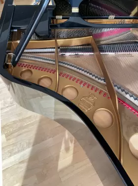 B-192 STEINGRAEBERS HNE Sohne Piano Humidity Management #2