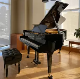 B-192 STEINGRAEBERS HNE Sohne Piano Humidity Management