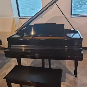 206983 STEINWAY Ebony Piano #2