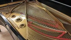 107715 STEINWAY SONS Piano Ebony High #3