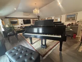 185443 STEINWAY SONS Baby