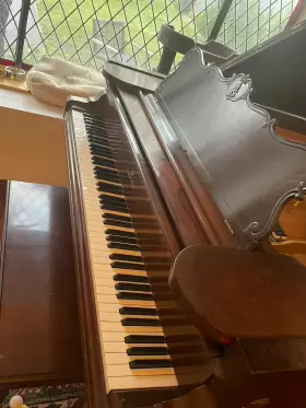 19266 STEINWAY SONS Antique Rosewood Concert Piano #3
