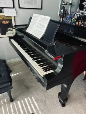205443 STEINWAY SONS Piano Circa #2