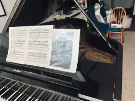 205443 STEINWAY SONS Piano Circa #3