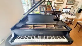 Steinway & Sons 262530 And Ebony Grand Piano Black 88 Keys 3 Pedals