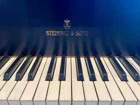 262765 STEINWAY SONS Piano Ebony #3