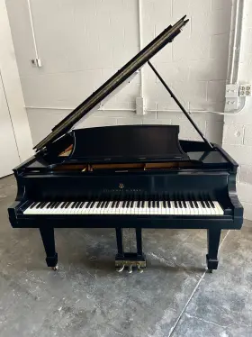 265635 STEINWAY SONS Piano Finish