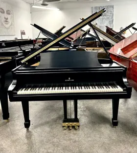 Steinway & Sons 307382 M Grand Piano 5ft7 Inch Satin Ebony