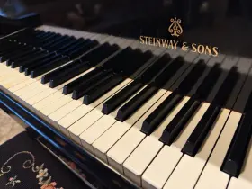 349838 STEINWAY SONS Great