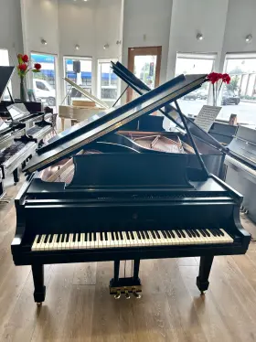 405999 STEINWAY SONS Piano Finish